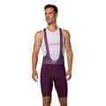 Miniatyrbillede 1 af 10: Pearl Izumi Expedition Cykelshorts Lilla 2XL Mand