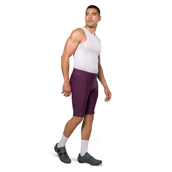 Pearl Izumi Expedition Housut Ilman Henkseleitä Violetti 3XL Mies