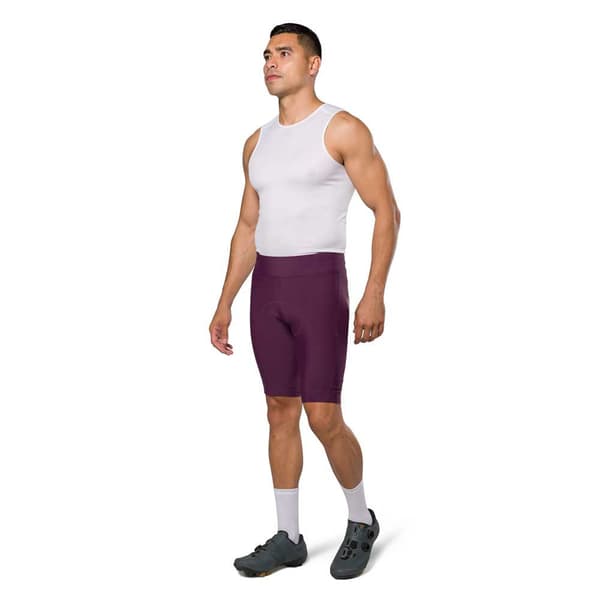 Pearl Izumi Expedition Housut Ilman Henkseleitä Violetti 3XL Mies