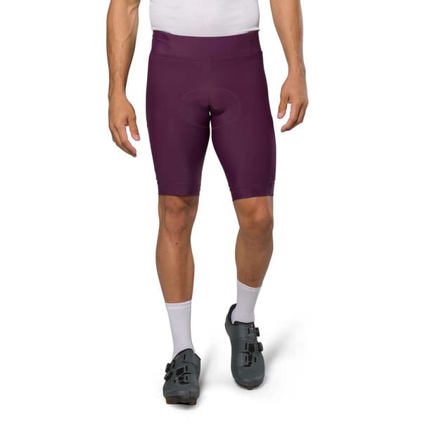 Pearl Izumi Expedition Housut Ilman Henkseleitä Violetti 3XL Mies
