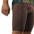 Miniatyrbillede 6 af 8: Jack Wolfskin Morobbia Cykelshorts Brun L Mand