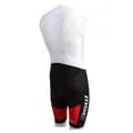 Miniatyrbillede 2 af 2: Msc Pro Race Shorts Uden Seler Sort L Mand