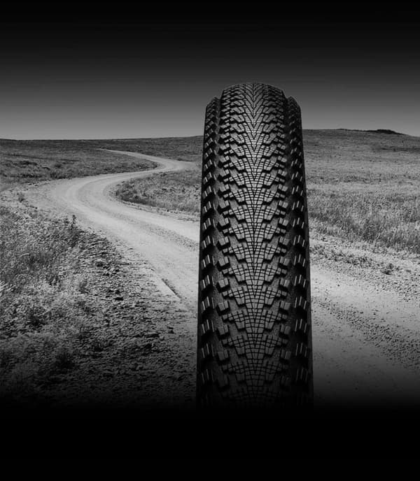 TIRRE 29 x 2.20 CONTINENTAL RACE KING E-BIKE MTB