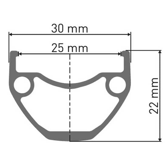 Dt Swiss Hu 1900 Spline 25 29´´ Cl Skiva Slanglös Bak Hjul Silver 5 x 135 mm / Shimano/Sram HG