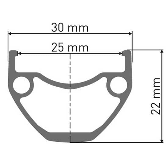 Dt Swiss Hu 1900 Spline 25 29´´ Cl Disc Tubeless Edessä Pyörä Hopeinen 5 x 100 mm