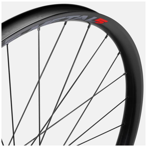 Fulcrum E-metal 5 29 ´´ Disc Tubeless Mtb-hjulset Silver 15 x 110 / 12 x 148 mm / Shimano/Sram HG