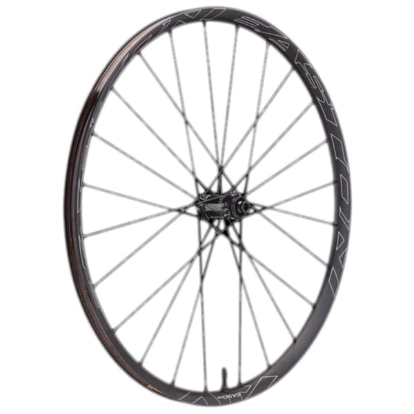 Easton Ea90 Ax Takapyörä Harmaa 12 x 142 mm / Shimano/Sram HG