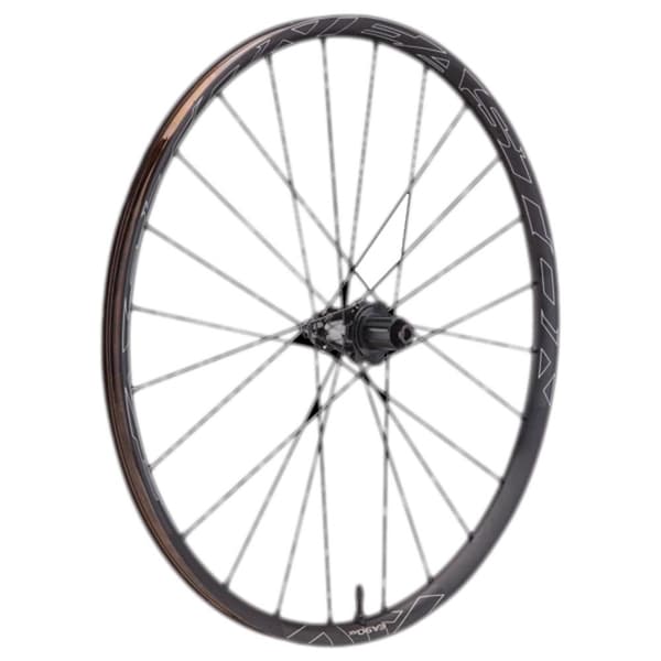 Easton Ea90 Ax Takapyörä Harmaa 12 x 142 mm / Shimano/Sram HG