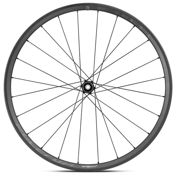 Fulcrum Speed 25+ Disc Tubeless Maantiepyörän Pyöräsarja Hopeinen 12 x 100 / 12 x 142 mm / Shimano/Sram HG