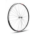 Miniatyrbillede 1 af 2: Gurpil Xm-1 29´´ Tubeless Mtb Forhjul Sort 9 x 100 mm