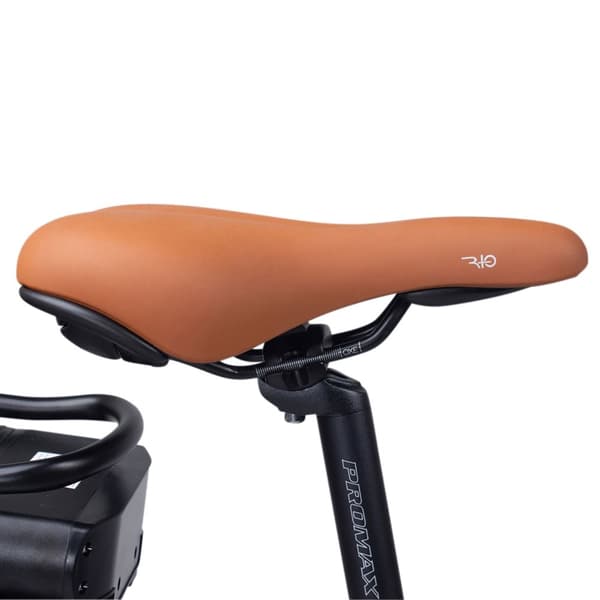Swoop Elcykel City, damer 71 cm