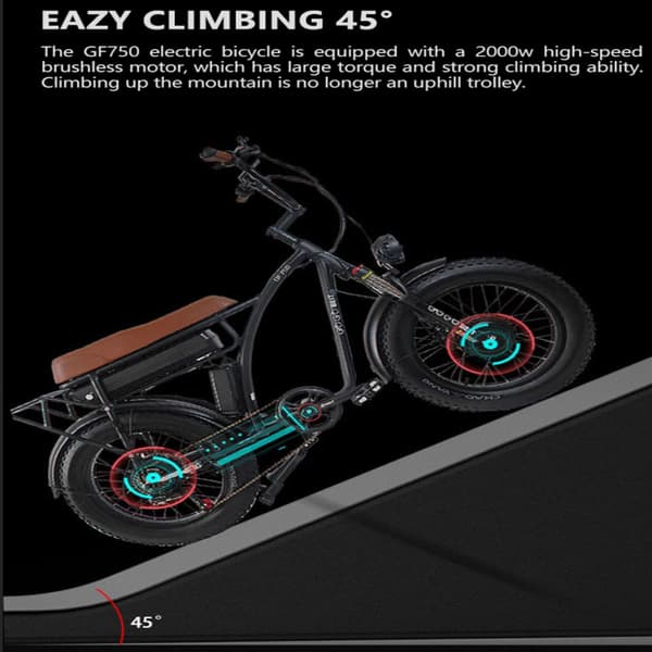 GOGOBEST GF750 Electric City Retro Bike, 2000W motor, 17,5AH batteri, 20*4,0 Tommer Dæk, Mekaniske Skivebremser.