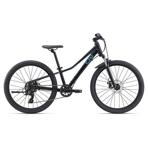 Liv Tempt 24´´ Disc 2024 Cykel Silver  Pojke