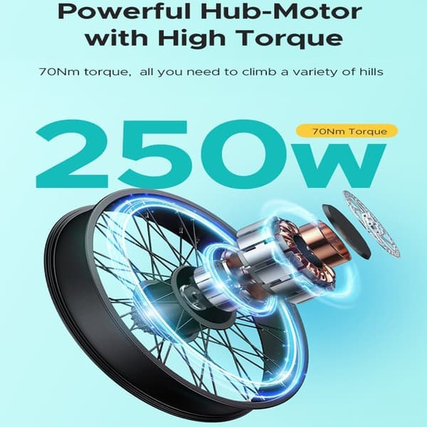 ENGWE E26 elcykel för vuxen, 2 ramstilar, 7ONm Torque Motor, 48V 16Ah Li-ion batteri, Shimano 7-växlad, 26*4 fettdäck, stötdämparsäte.