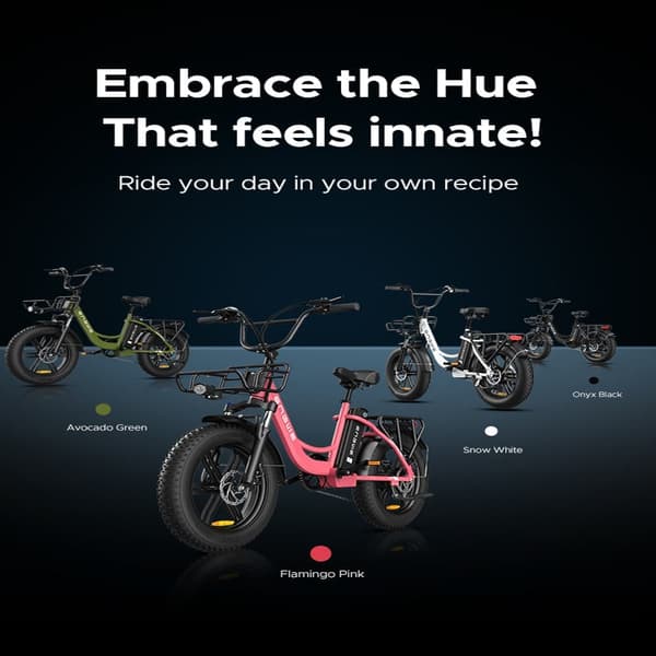 ENGWE L20 Adult Step-Through El-cykel, 250W børsteløs motor, 48V13Ah batteri, 20 x 4,0 fedtdæk, Shimano 7 gear.
