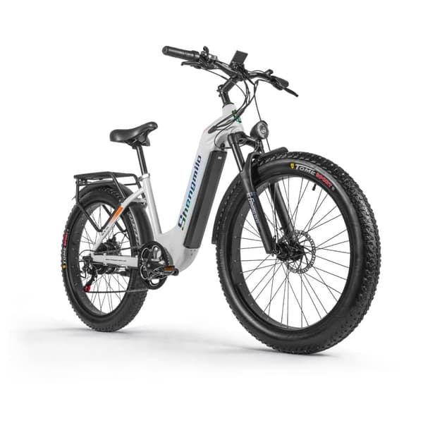 Elcykel för vuxna, uppgraderat 48V 17,5Ah löstagbart batteri Ebike 1000W Kraftfull motor, 50+ miles lång räckvidd, 26"x3" Fat Tire Mountainbike