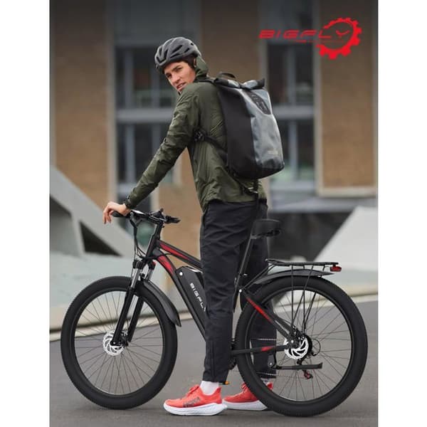 DUOTTS C29 Elcykel - 48V/15Ah - 21 SHIMANO hastighet - 29*2,1'' hjul - 50 km räckvidd - Med App