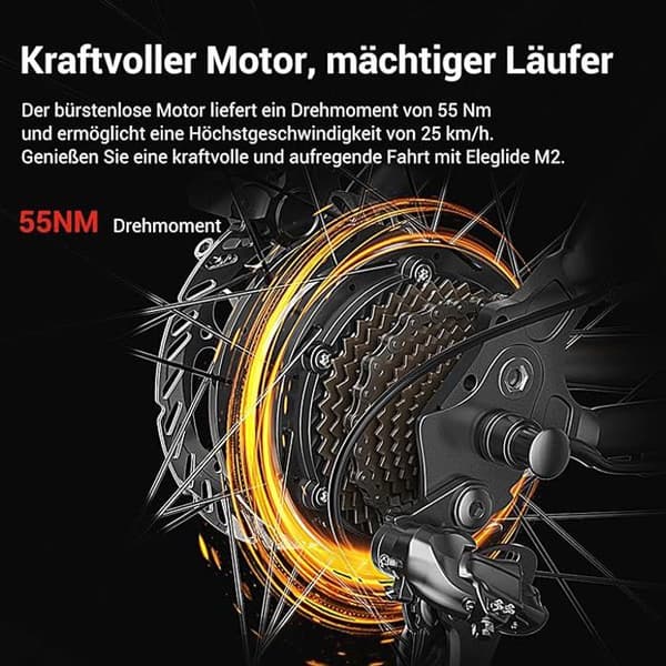 Eleglide M2 E Bike Herr Dam med 36 V 15 Ah löstagbart batteri, 27,5/29 tum terräng E Mountain Bike, Elcykel Pedelec