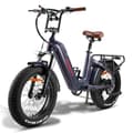 Miniatyrbild 1 av 4: Fafrees F20 Master 20 tum elcykel Räckvidd 120km Främre stötdämpare VTC Fat bike Batteri 48V22.5Ah Färgglad