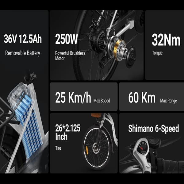DYU C6 26'' elcykel i stegstil 250W motor 12,5AH batteri 25KM/H 26*2,215 däck 6 hastigheter