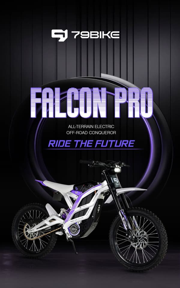 79BIKE-FALCON PRO off-road elektrisk motorcykel, 10000W motor, maks. hastighed 90 km/t, rækkevidde 120 km, maksimalt drejningsmoment 410N.m