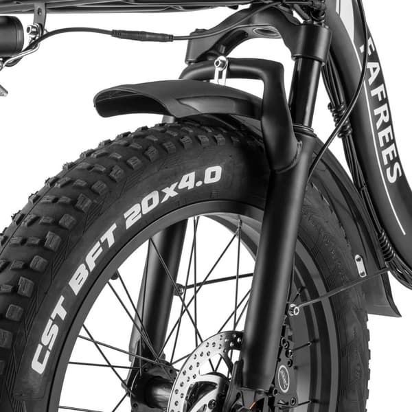 Fafrees F20 X-MAX hopfällbar elcykel 20 tum, 750W motor, 48 V 30 Ah Samsung batteri, 4.0 feta däck lastkapacitet 150 kg