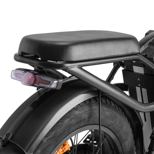 Fafrees F20 X-MAX hopfällbar elcykel 20 tum, 750W motor, 48 V 30 Ah Samsung batteri, 4.0 feta däck lastkapacitet 150 kg