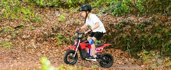 iSinwheel A12 Elektrofahrrad für Kinder 12", 350W moottori, 36V 5.2Ah Batterie, Höchstgeschwindigkeit 25km/h, Reichweite 22km, Gewicht 70KG, punainen