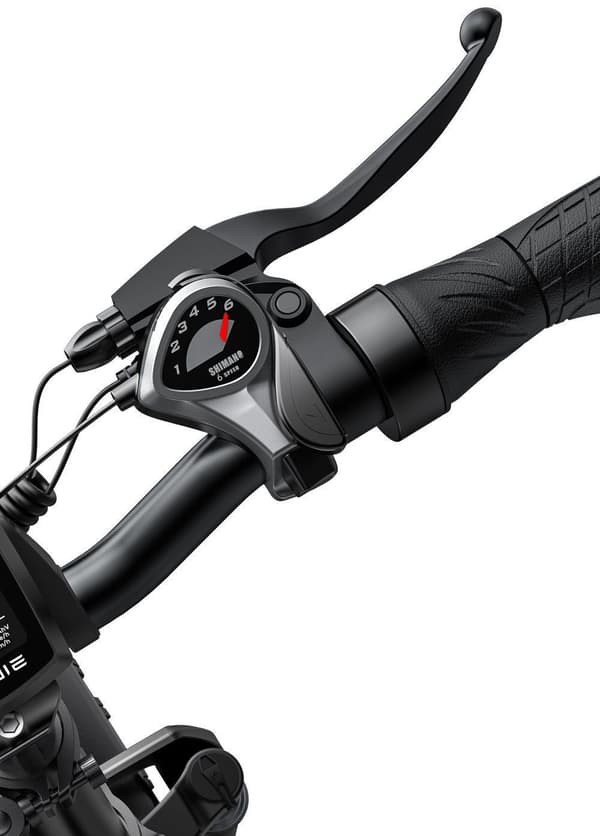 Elcykel 250W hopfällbar ebike för vuxna 48V13A batteriräckvidd 75Mile 20" 4.0 Fat Tire