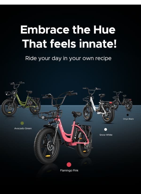 ENGWE L20 250W elcykel för kvinnor 20''×4.0" Fat Tire elcykel 13Ah batteri 140km&25km/h för stadspendlare, dubbelfjädring