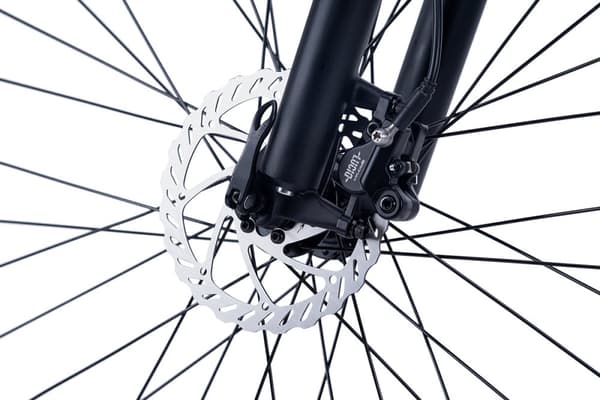 Adore E-MTB 29'' Enforce E-Bike 250 Watt Li-Ion 36V/14 Ah 24 gear