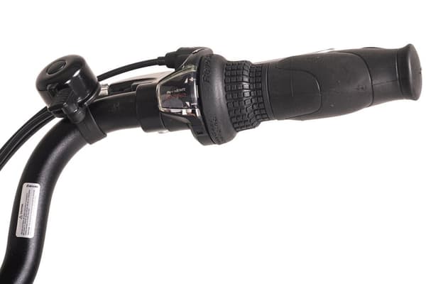 E-Citybike 28« Hollandia E-Active Black 250 Watt Li-Ion 36V/13 Ah 6 gear