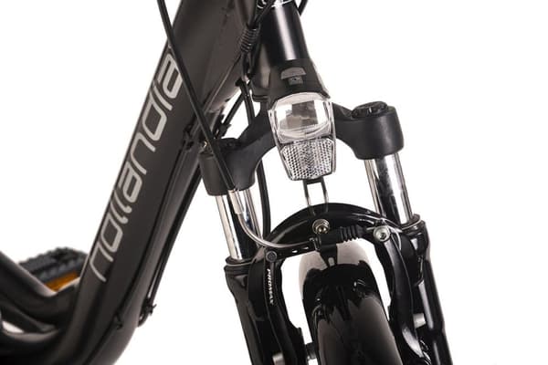 E-Citybike 28« Hollandia E-Active Black 250 Watt Li-Ion 36V/13 Ah 6 gear