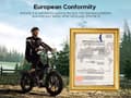 Miniatyrbillede 5 af 5: ENGWE ENGINE X 250W foldbar elektrisk cykel | 48V 13Ah udvideligt batteri | 120 km rækkevidde | 20" Snedæk | Mekaniske bremser