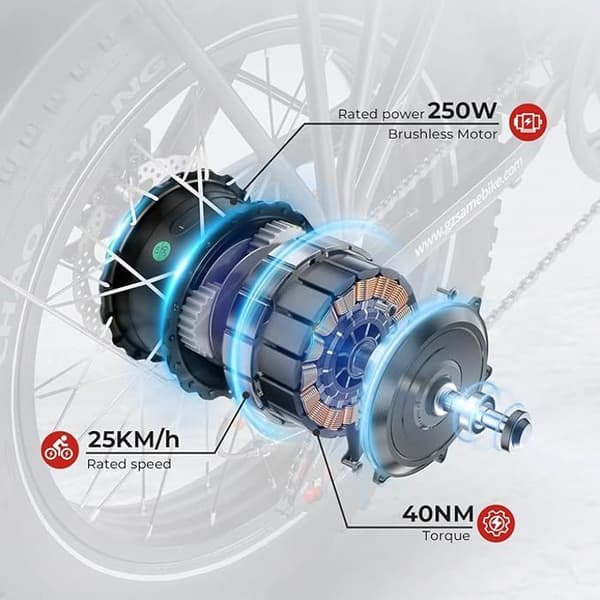 ENGWE X Elcykel 250W Motor Vikbar Ebike Big Tire 13Ah Batteri 25km/h Max hastighet 100km Räckvidd Vior
