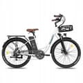 Miniatyrbild 3 av 6: PASELEC GS9 PLUS elcykel 750W 48V 17Ah 48km/h BAFANG motor aluminiumhjul 26" svart