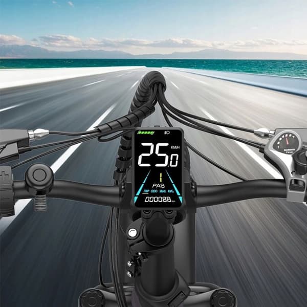 Fafrees FF20 Polar elcykel 40KM/H 10,4AH*2 1000W hjul 20" Fällbar elcykel blå