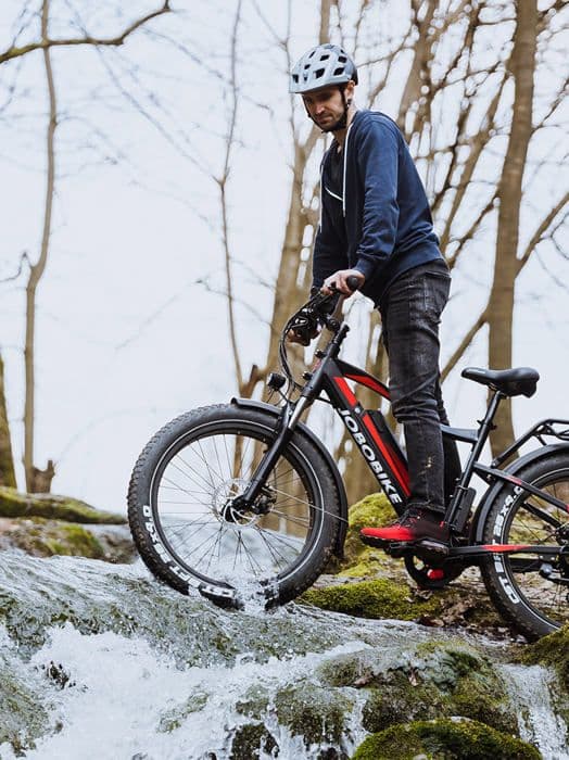 FAT BIKE Joobike Robin Step-thru elcykel, 26" hjul, 250W 48V 14ah grå