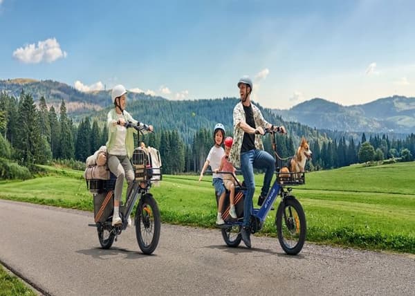ENGWE LE20 E-Bike 20 Inch Elcyklar 250W 48V 19,2 Ah 180km Fat Bike grå