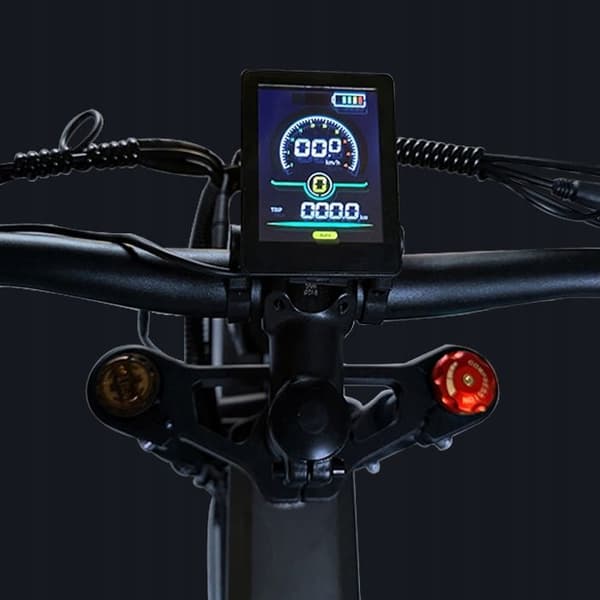 PASEBIKE P26 PLUS elektriskt fordon 1500W 48V 23AH 50HK /H 120HK 26"*4.0