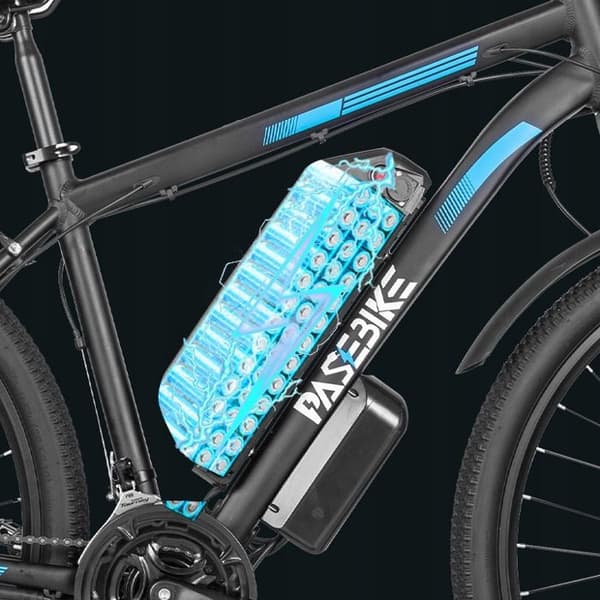 PASEBIKE C29 Elektrisk sportfordon 1000W 48V 21AH 55HP/H 120HP 29"*2.125 E-cykel