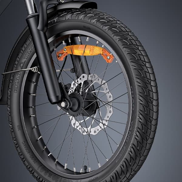ENGWE LE20 20'' lastelbil, 19,2AH/38,4AH batteri tillval, 250W motor, med vridmomentsensor, 7-växlad
