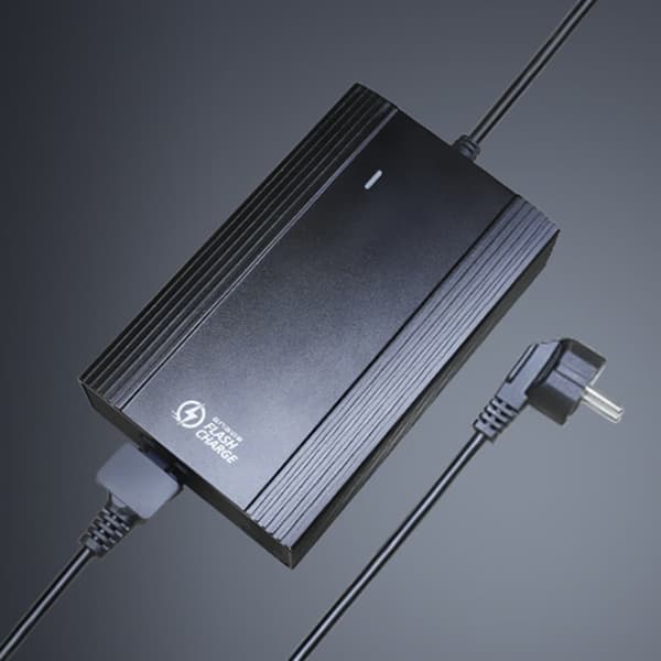 ENGWE LE20 20'' lastelbil, 19,2AH/38,4AH batteri tillval, 250W motor, med vridmomentsensor, 7-växlad