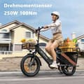 Miniatyrbild 3 av 6: ENGWE LE20 E-Bike Elcyklar 20 Inch Dual Battery Version 38.2ah 250W 48V 180km Fat Bike Blue