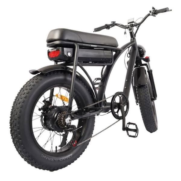 Bezior XF001, 12,5AH 48V 1000W, 26tum Shimano 7-växlad, Vintage E-cykel Max belastning 120 kg