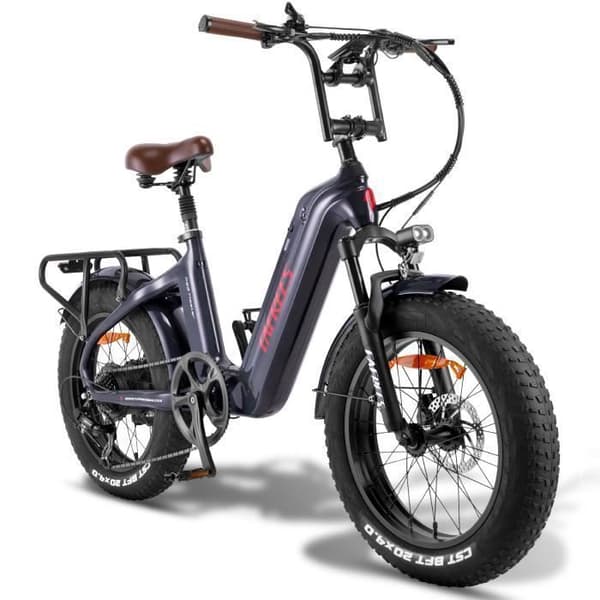 Fafrees F20 Master 20 tum elcykel Räckvidd 120km Främre stötdämpare VTC Fat bike Batteri 48V22.5Ah Färgglad