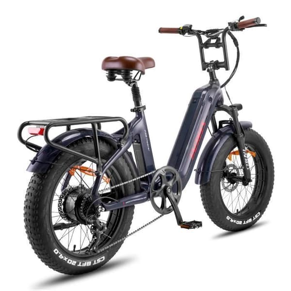 Fafrees F20 Master 20 tum elcykel Räckvidd 120km Främre stötdämpare VTC Fat bike Batteri 48V22.5Ah Färgglad