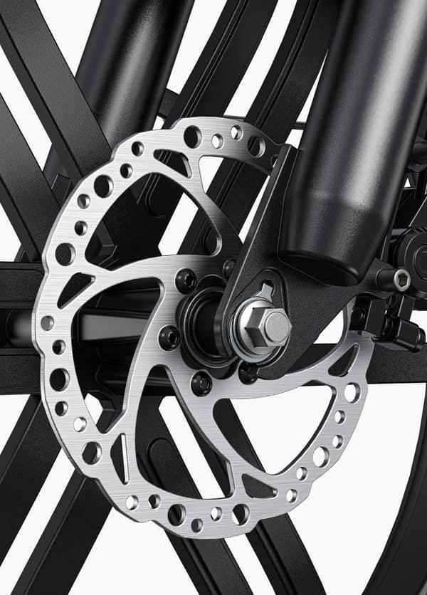 ENGWE L20 Boost 250W Torque E-Bike | 48V 13Ah | 126 km rækkevidde | 20x4.0 MTB dæk | Boost Power Mode