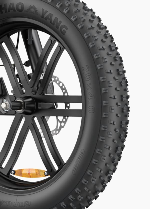 ENGWE L20 Boost 250W Torque E-Bike | 48V 13Ah | 126 km rækkevidde | 20x4.0 MTB dæk | Boost Power Mode
