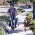 Miniatyrbillede 9 af 9: DYU C3 Urban elcykel – 25 km/t hastighed, 7,5 Ah indbygget batteri, 14" dæk – kompakt elcykel med metalramme